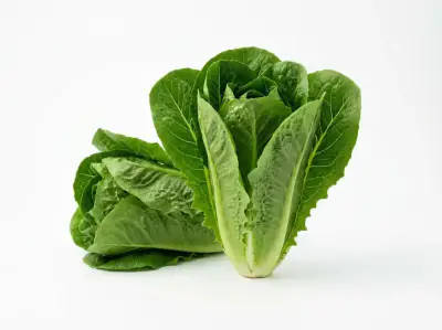 Selada Romaine - XFarm House